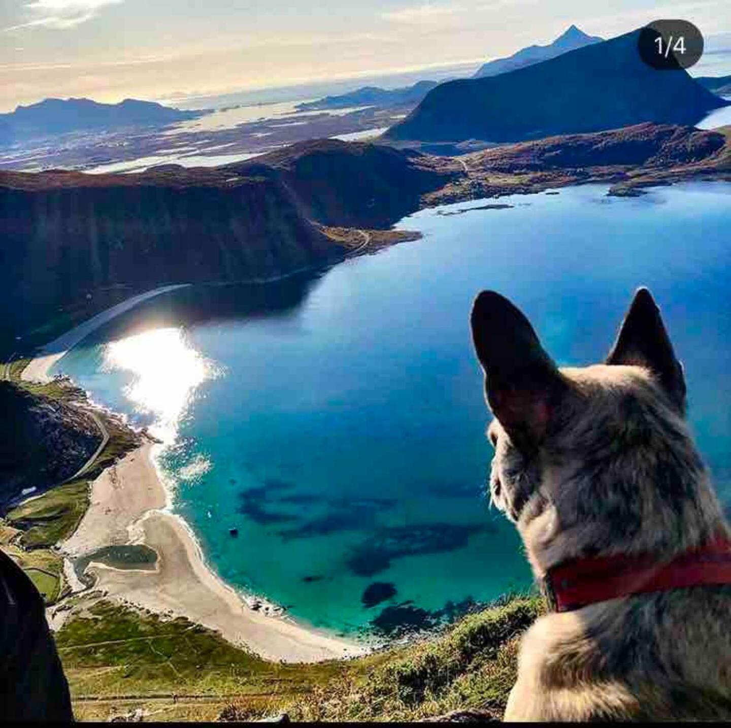 Lofoten Seaview Ballstad Bagian luar foto