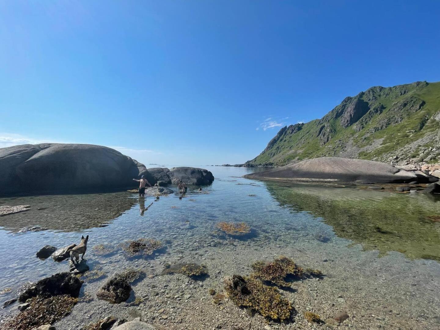 Lofoten Seaview Ballstad Bagian luar foto